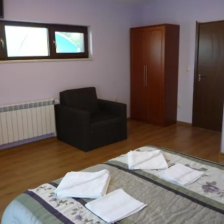 Camellia 2* Berkovica
