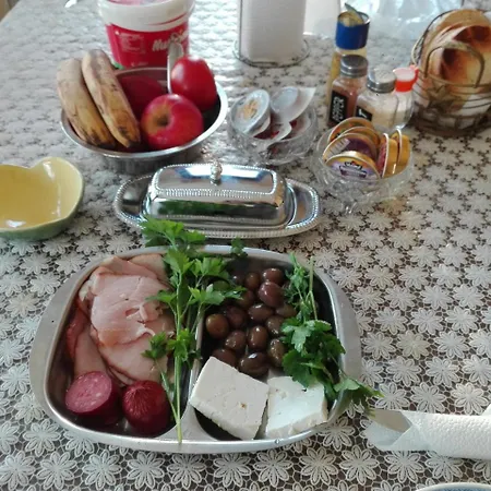 Gæstehus Camellia Berkovitsa