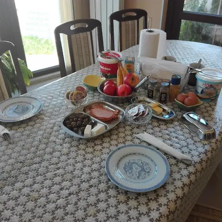 Gæstehus Camellia Berkovitsa