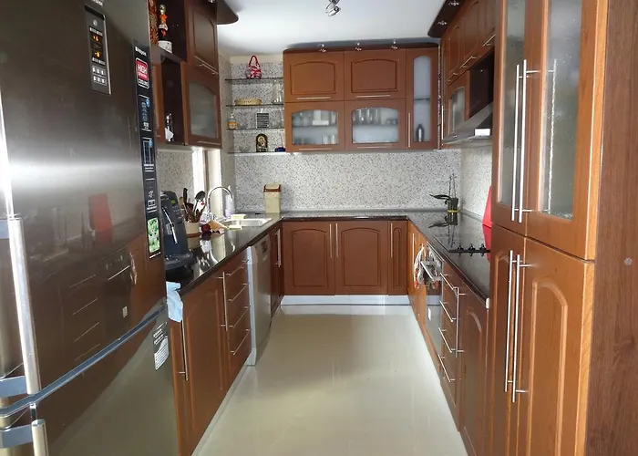 камелия Берковица