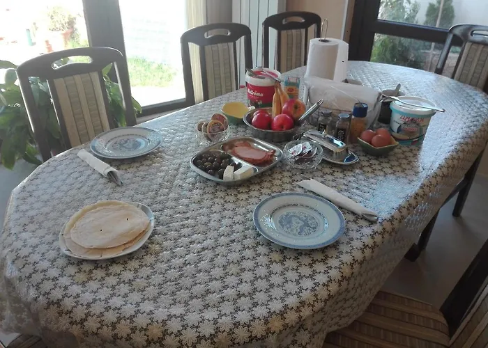 камелия Къща за гости Берковица