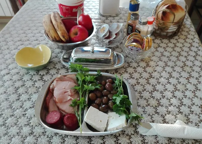 Къща за гости камелия Берковица