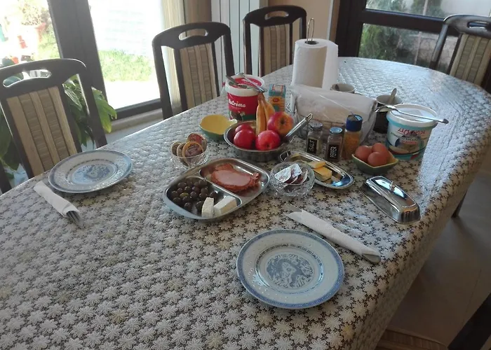 Къща за гости камелия Берковица