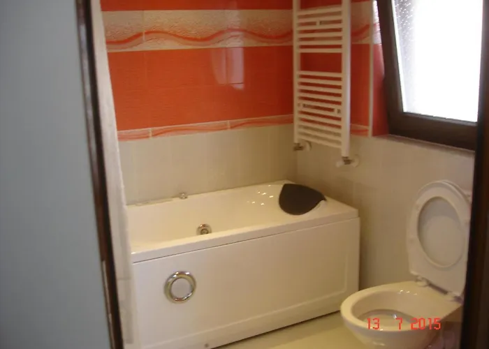 камелия Къща за гости Берковица